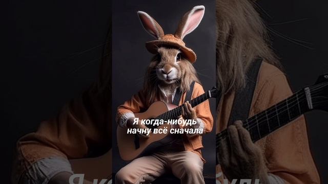 о, заяц