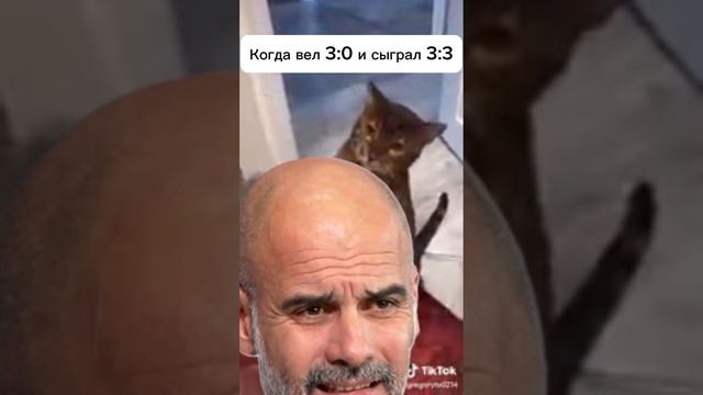 Пеп после фейеноорда #shorts #sports #гвардиола #лигачемпионов #мансити #кот #football #футбол