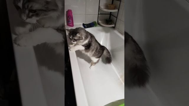 решил помыться а воды нету