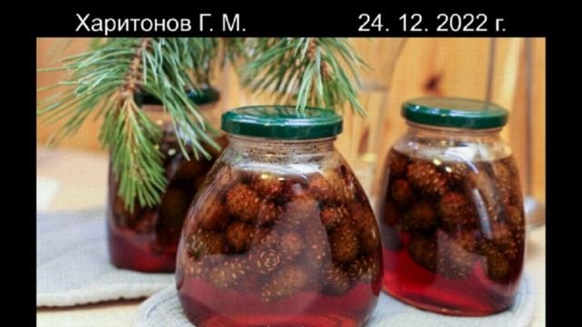 562 Хвоя  24 дек 2022 г.