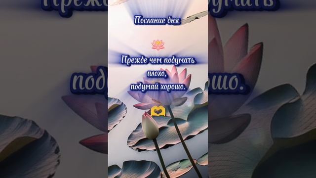 #motivation #осознанность #quotes #послание #люди #мудрость #психология #руны #душа
