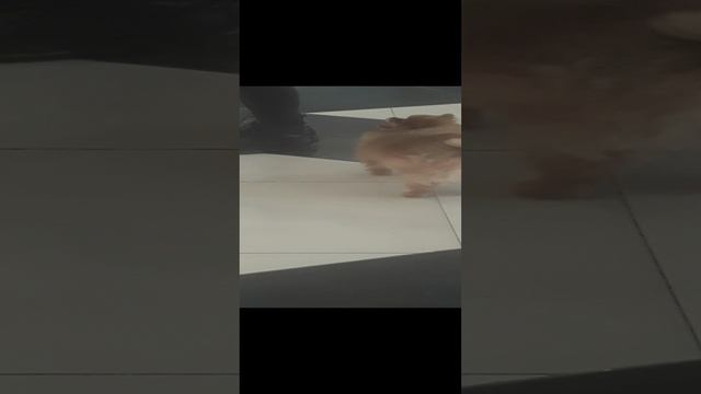смотрите кого 😍мы встретили 😘 😘😘😘😘