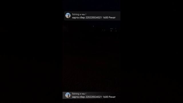 Прямая трансляция fishing и мы !