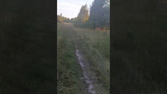 Альфа 110сс