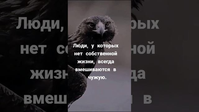 1000007184.mp4