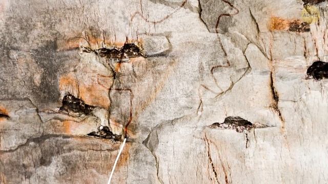 Тайна древних самолетов Индии. Летающие машины древнего мира