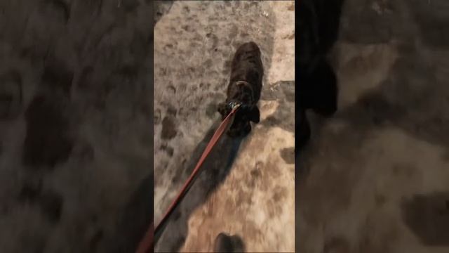 1000046573.mp4
