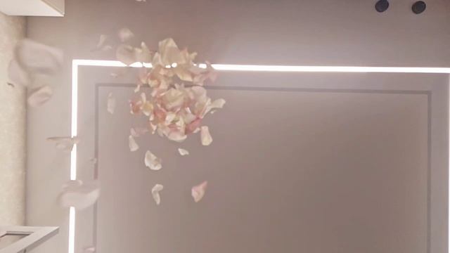 Лепестковое сияние