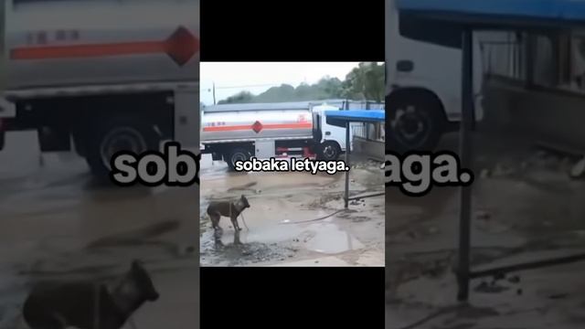 Эмм, а куда?