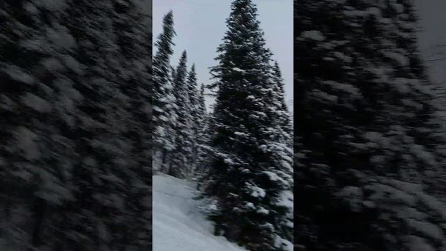 Шерегеш 2024, фрирайд, снято на телефон))