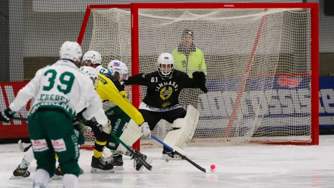 «BrobergSöderhamn»-«Hammarby IF» 26 Nov Elitserien 2024-25
