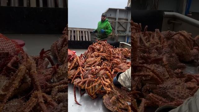 VID_20241127_034822_859.mp4