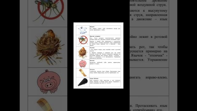 scene_output.mp4