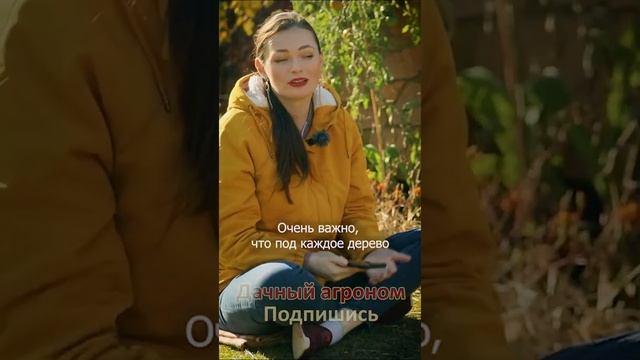 НЕ ЗАБУДЬ деревьям осенью