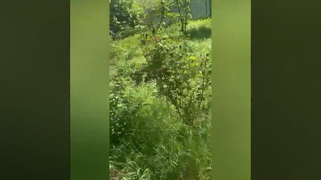 Дешево!!!!! г.Анапа Дом 70 кв.м на участке 5 сот для души с пропиской, Чёрное море, отдых