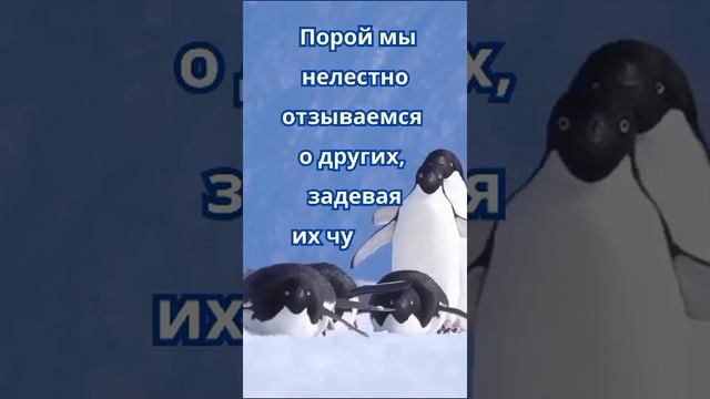 Не принимай близко к сердцу плохие слова о тебе