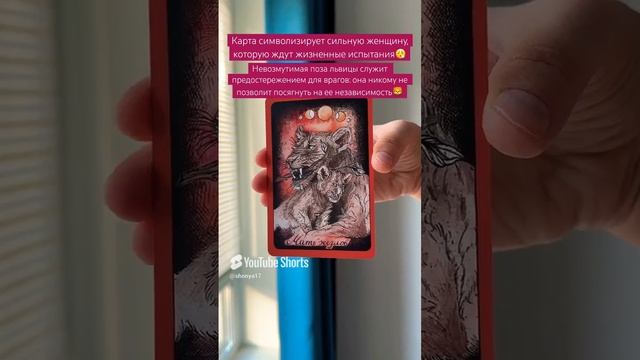 🦁☀️#картадня #cardoftheday #таро #tarot #совет #гадание #таропрогноз #lion