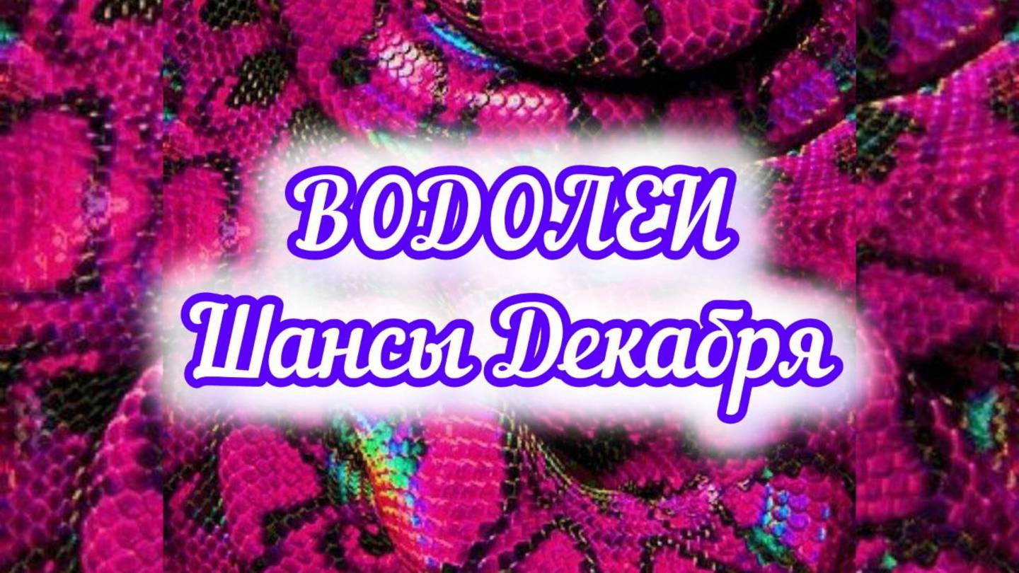 ВОДОЛЕИ - шансы в ДЕКАБРЕ 2024года.
