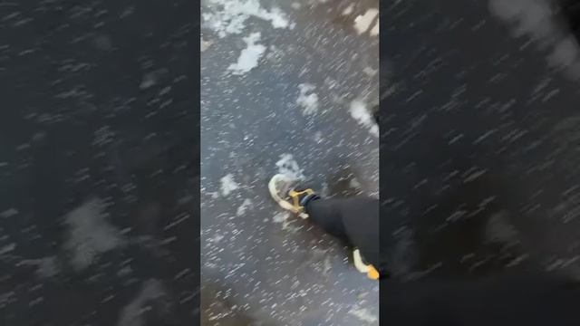 #дмитрийсолдатов