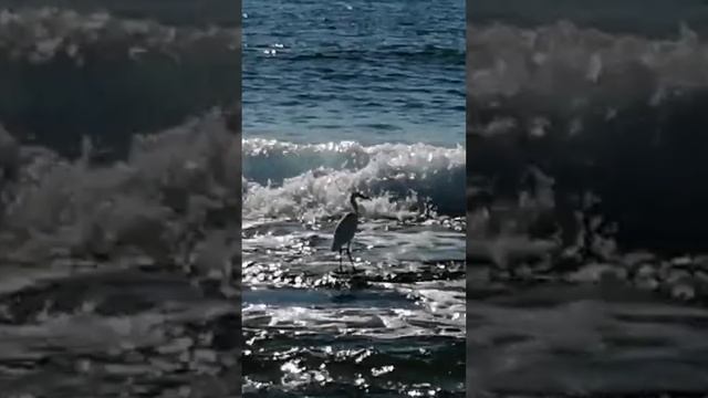 27 ноября ТЕПЛОТА, КРАСОТА И МОРСКОЙ ВОЗДУХ. ТУРЦИЯ 2024.