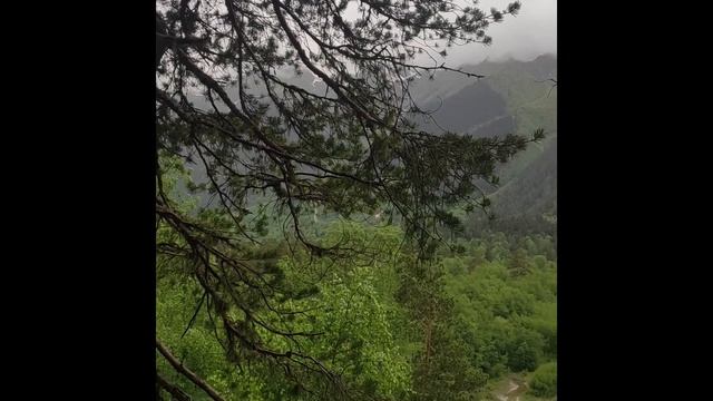 Вид с горы