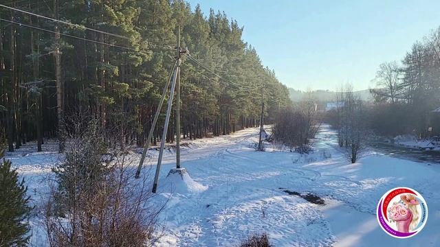 Наш зимний отпуск начинается! Поездка за город!