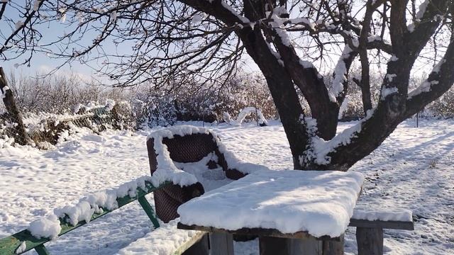 с. Чаадаевка - чудесный день.😸