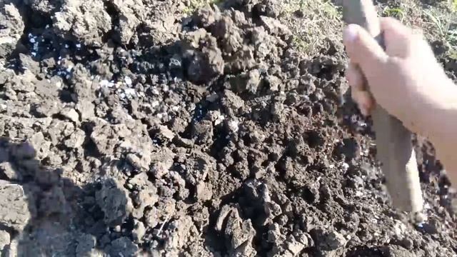 Приехала и понеслось...  Деревенские будни. Подарок с Горно-Алтайска. Всё, ДР закончился!!!
