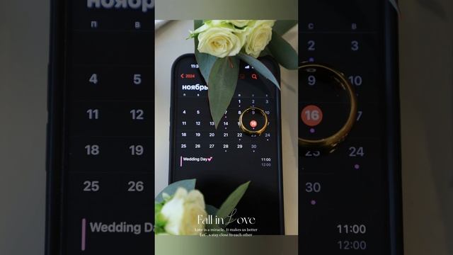 16 ноября 2024 г.