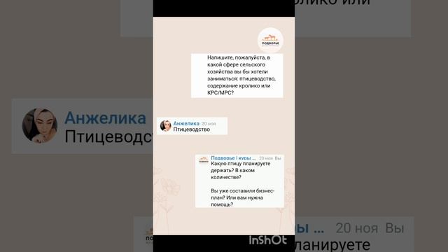 Хотите оформить соцконтракт? Обращайтесь! #подворье #птицеводство #соцконтракт