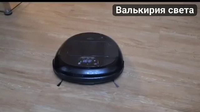 VID_20241126_174853_914.mp4