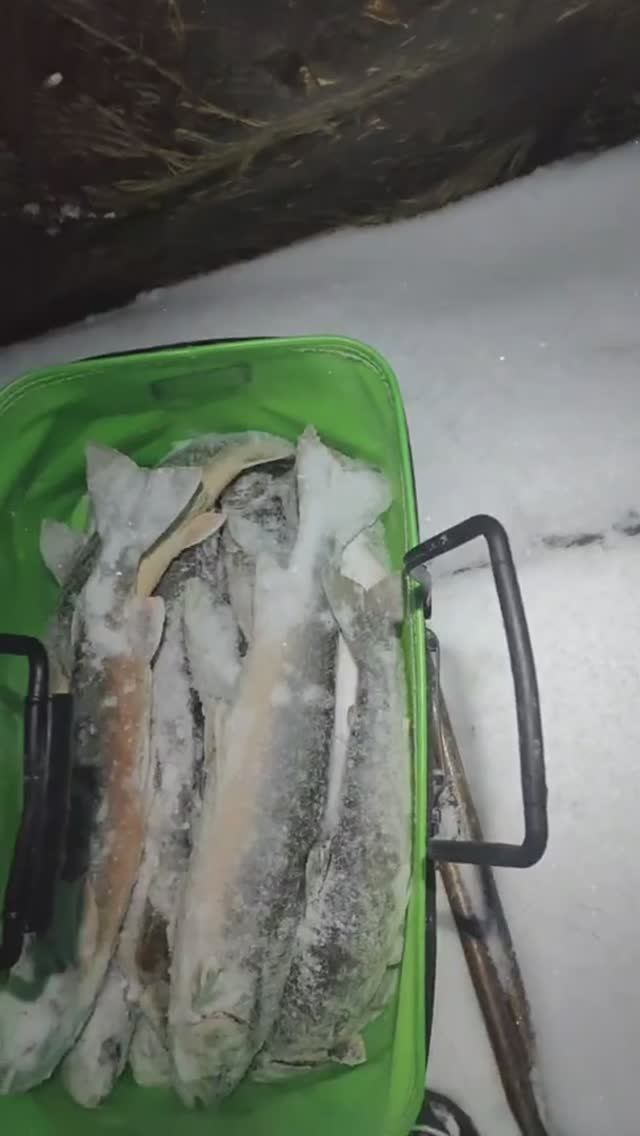 Лагерь