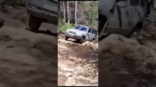 Шевик