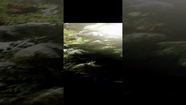 Знаменитые бронзовые олени