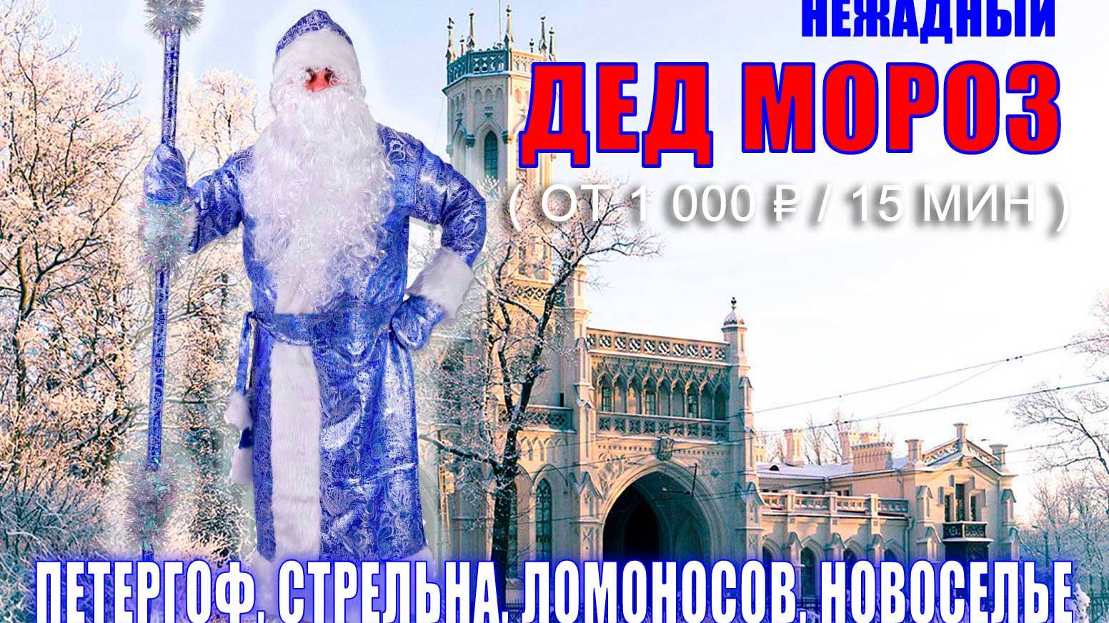 Заказ Деда Мороза на Новый Год в Петергофе, Ломоносове, Новоселье, Стрельне.