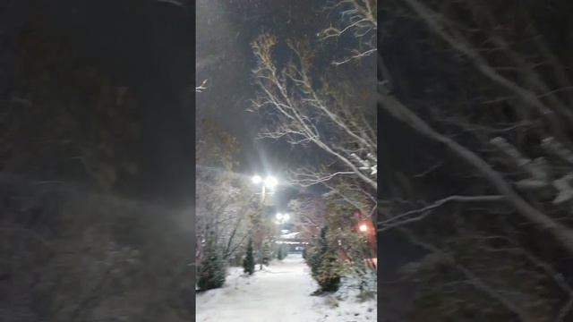 2024-11-06-222806209.mp4 Елена Дружиненко Воркута