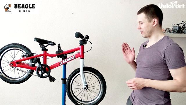 Легкий детский велосипед Beagle 116x в Velo-Port.ru