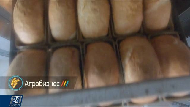 Нан өндірісі