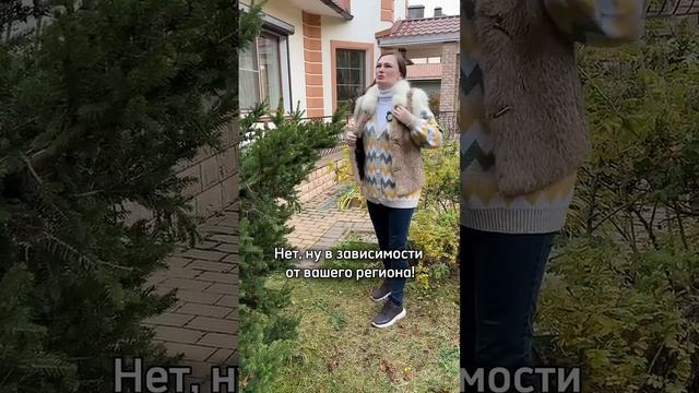 Ничего не пропустили перед зимой?