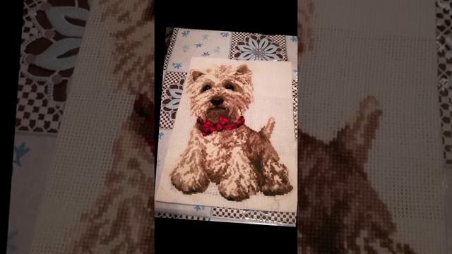 1000058272.mp4