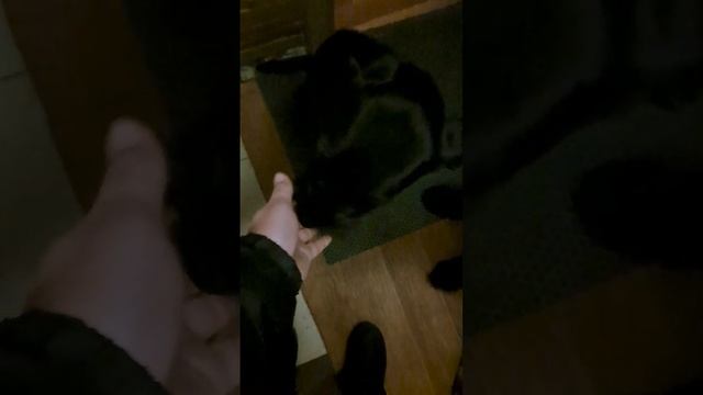 1000046373.mp4