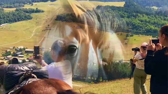 Лео Рояс В поле с конём