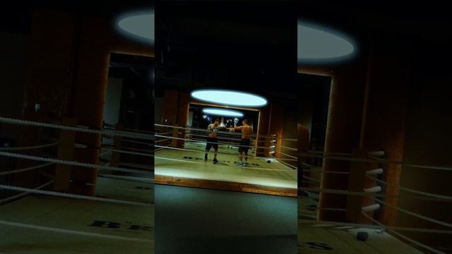 WoW Media Production снимаем видео под ключ