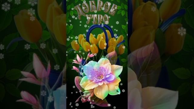 d0b4936704c29cf9355c3999bf8a2443.mp4