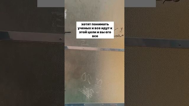 Важно соблюдать единство в семье – все хотят изучать арабский