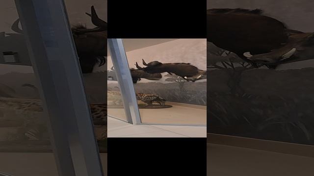 1000025647.mp4