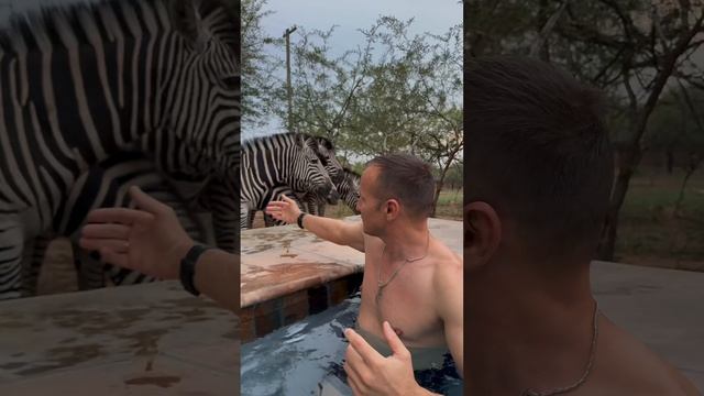 #motivation #успех #подкаст #мышление #мотивациянауспех #бизнес #лайфхак #бизнес #предприниматель