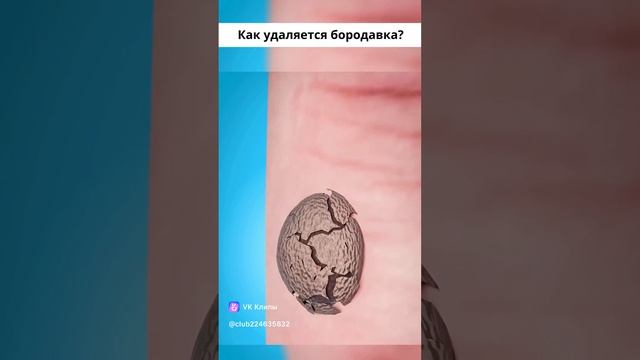 clip-224635832_456241260.mp4