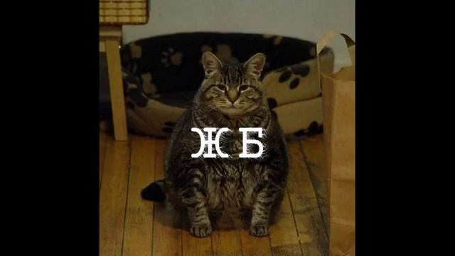 Tourtass - ЖБ (audio)