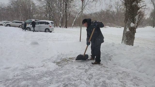 Снежный циклон в Комсомольске 27 ноября